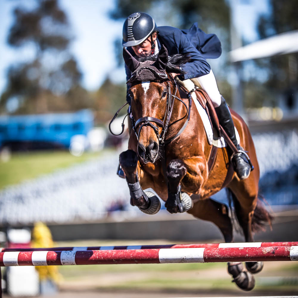 PORTFOLIO SHOWJUMPING NSW STATE SHOW JUMPING CHAMPIONSHIPS 2016