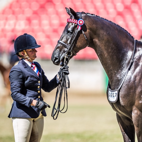 Portfolio Sydney Royal Easter Show 2018 Www Stephenmowbrayphotography Com