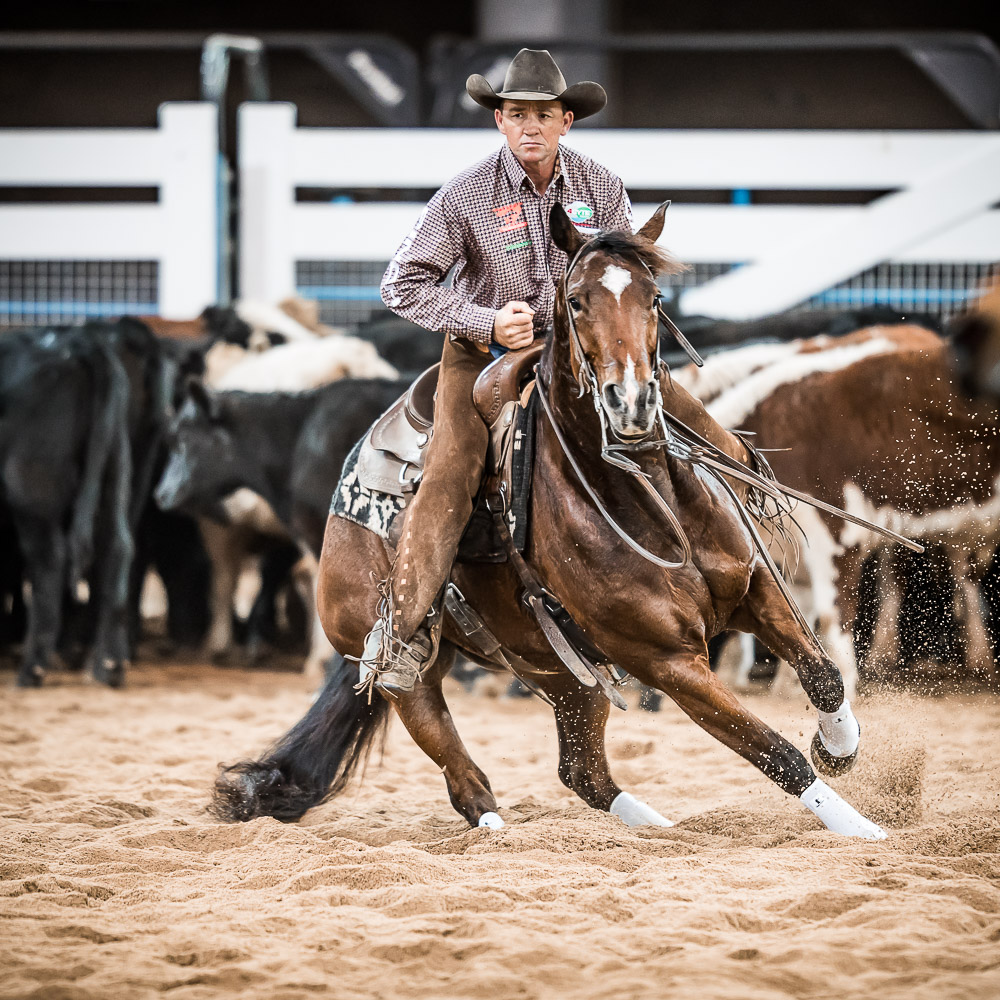 PORTFOLIO CUTTING NCHA FUTURITY 2018 www