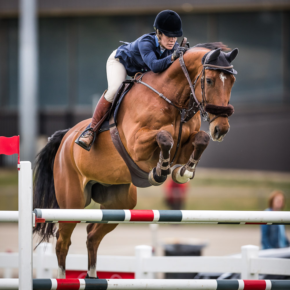 PORTFOLIO SHOWJUMPING NSW STATE SHOW JUMPING CHAMPS 2018 www