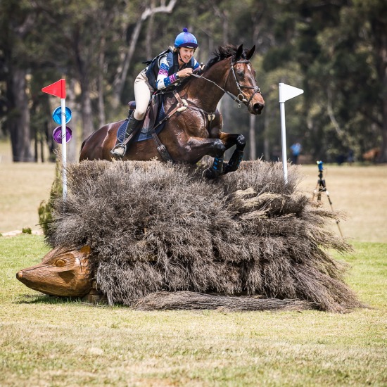 CCI4*-L and -S CROSS COUNTRY