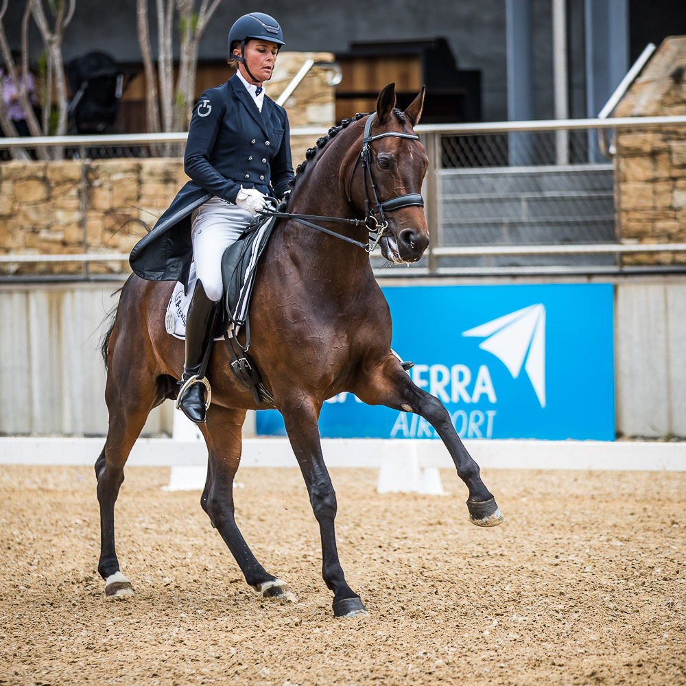 NINA BOYD PORTFOLIO WILLINGA PARK DRESSAGE BY THE SEA 2020 www