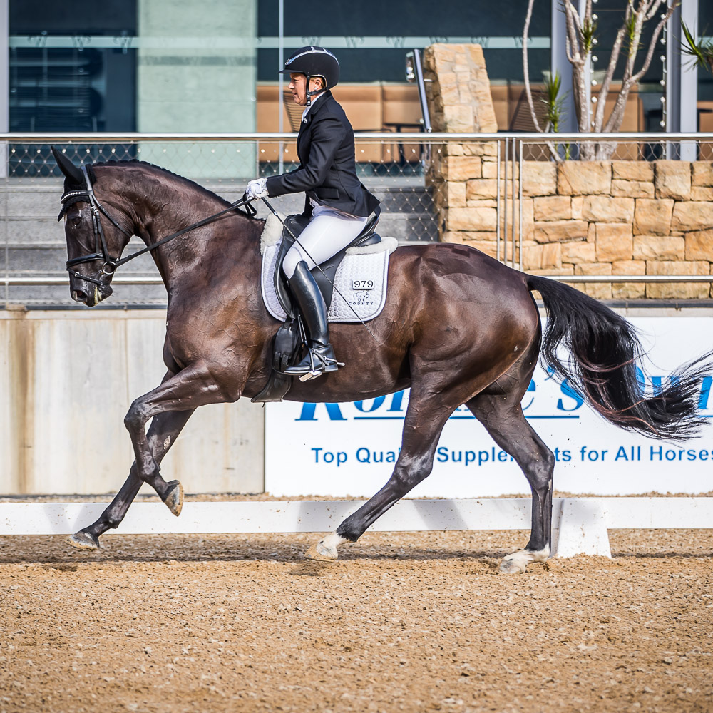 PAMELA BICE PORTFOLIO WILLINGA PARK DRESSAGE BY THE SEA 2020