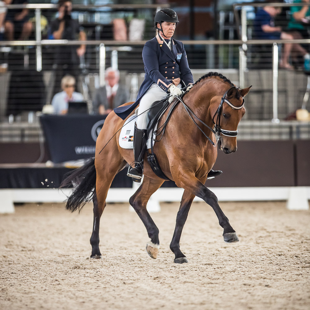 LIZZIE WILSONFELLOWS PORTFOLIO WILLINGA PARK DRESSAGE BY THE SEA