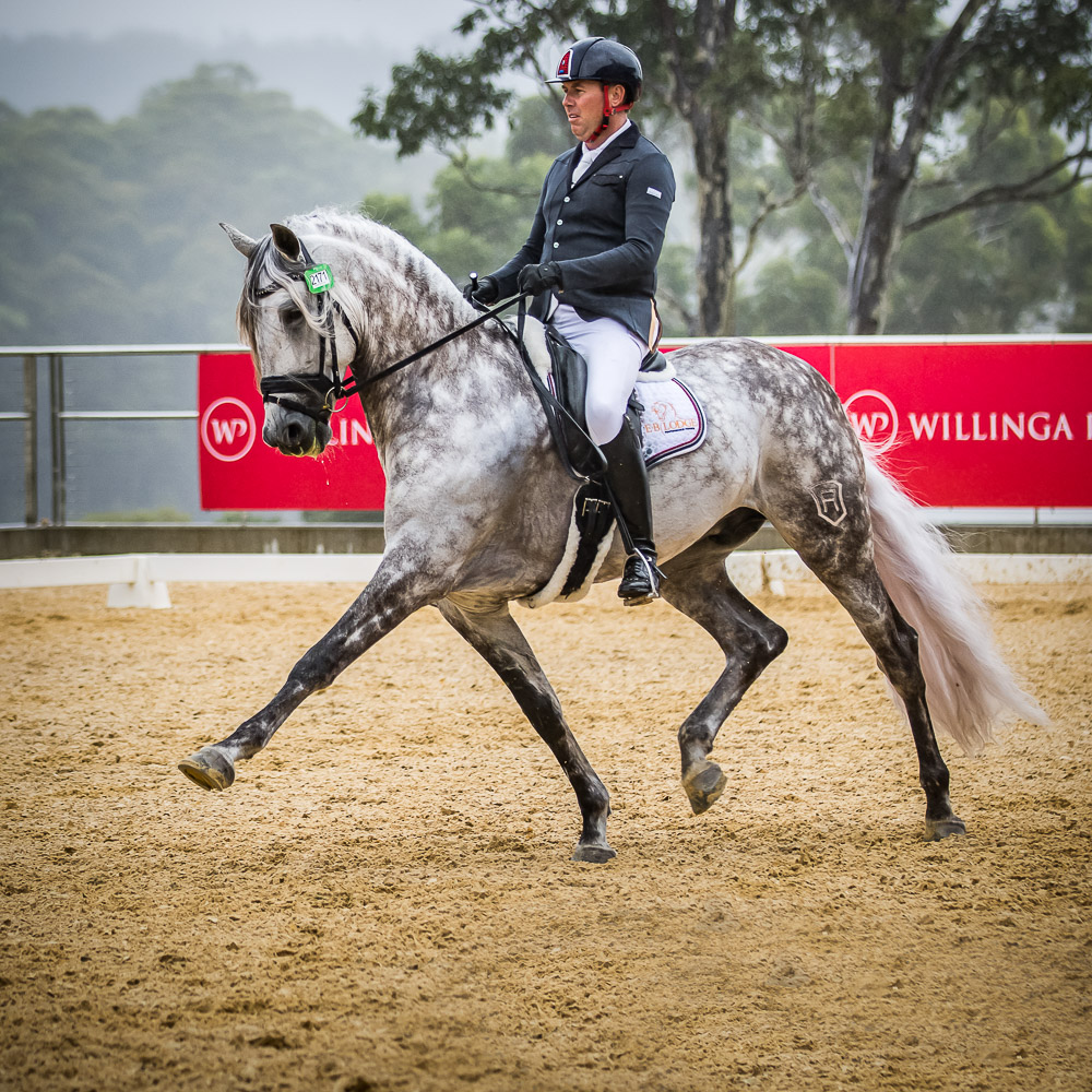 PORTFOLIO WILLINGA PARK DRESSAGE BY THE SEA 2021 www
