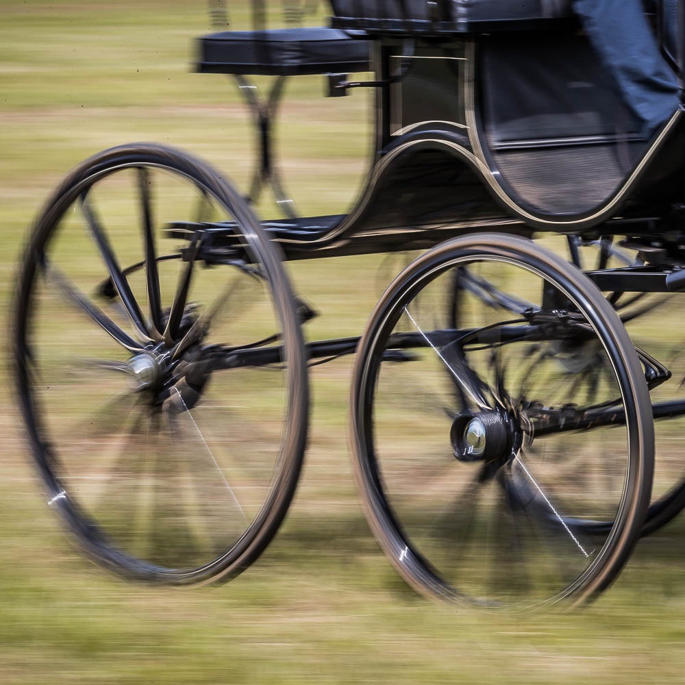 CARRIAGE DRIVING