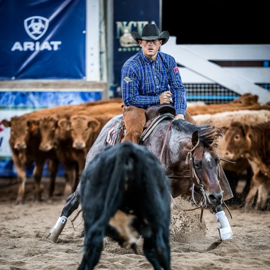 HEATH SINCLAIR and 'ONE ROAN PEPTOS'