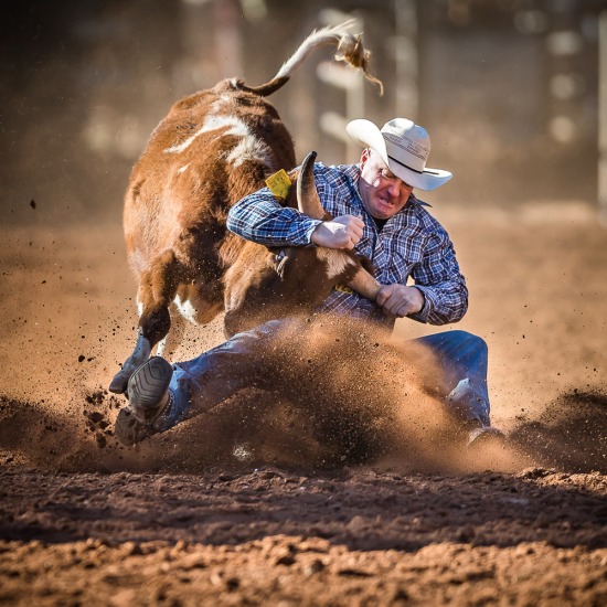 STEER WRESTLING 
