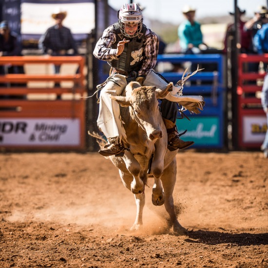 JUNIOR STEER RIDE