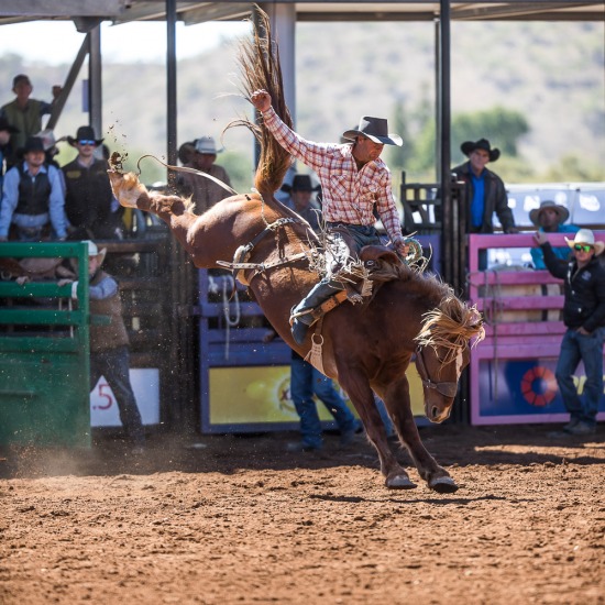 SADDLE BRONC