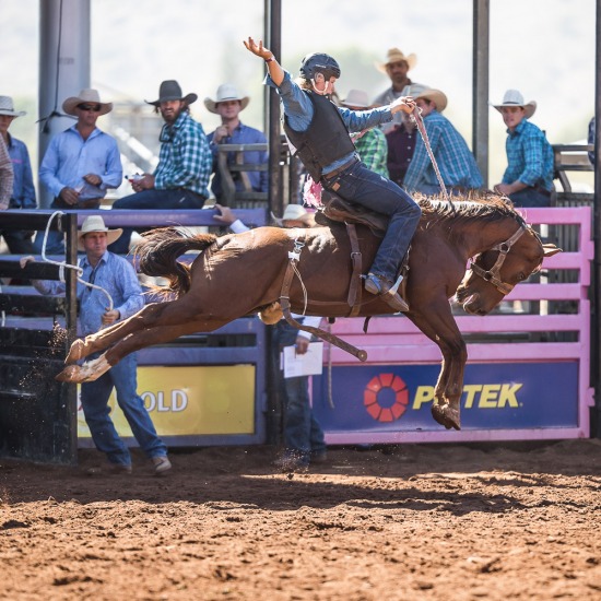 LOCAL STATION BUCK JUMP