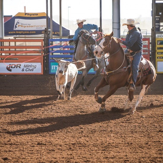 OVER 55'S TEAM ROPING