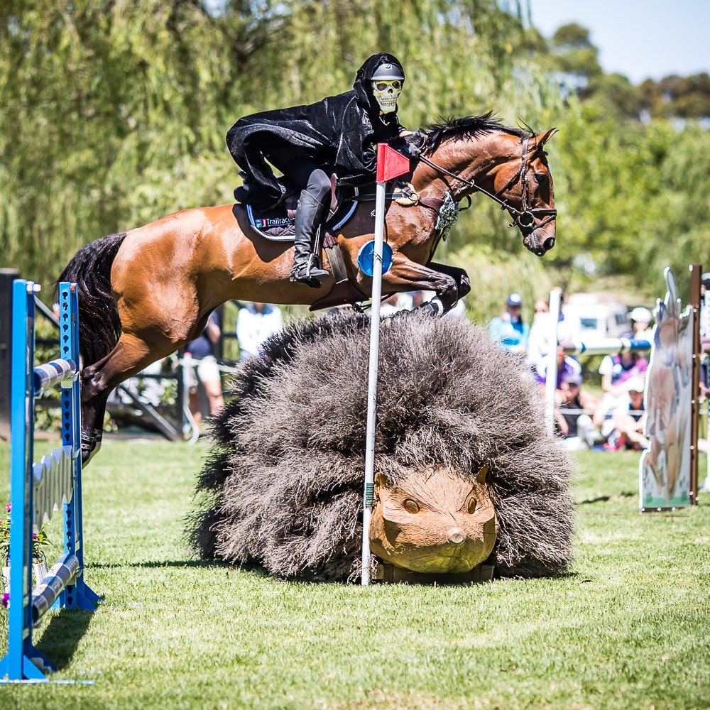 EQUESTRIAN EXTRAVAGANZA 2019