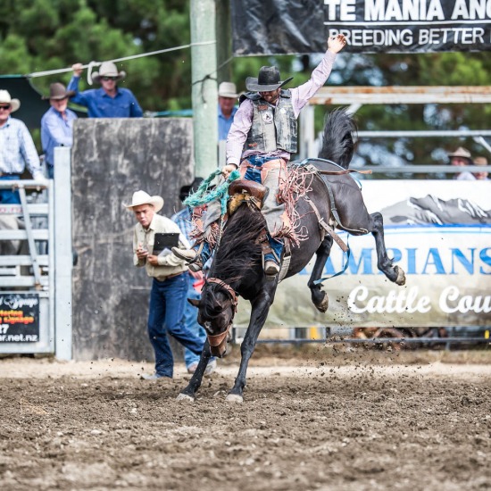 SADDLE BRONC