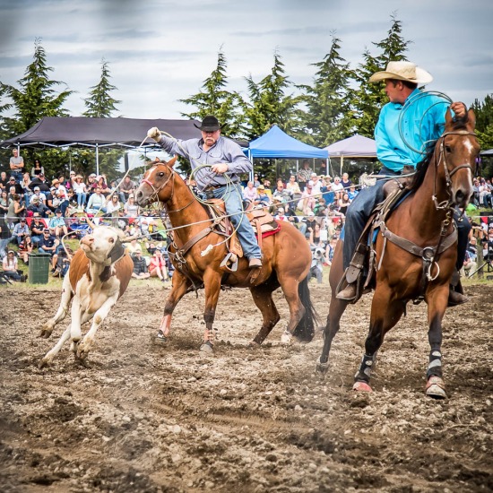 TEAM ROPING