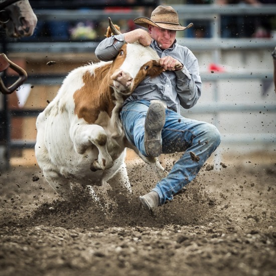 STEER WRESTLING