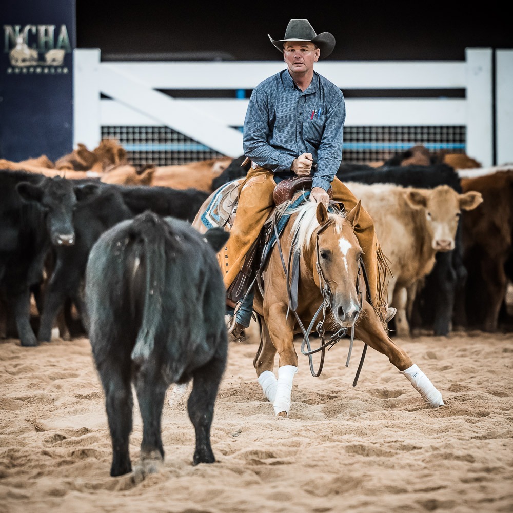 NCHA FUTURITY 2019