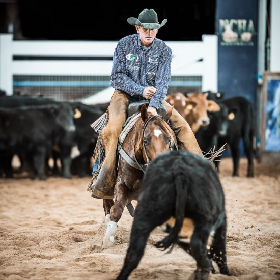 TODD GRAHAM and 'YAVEN SPINACAT''