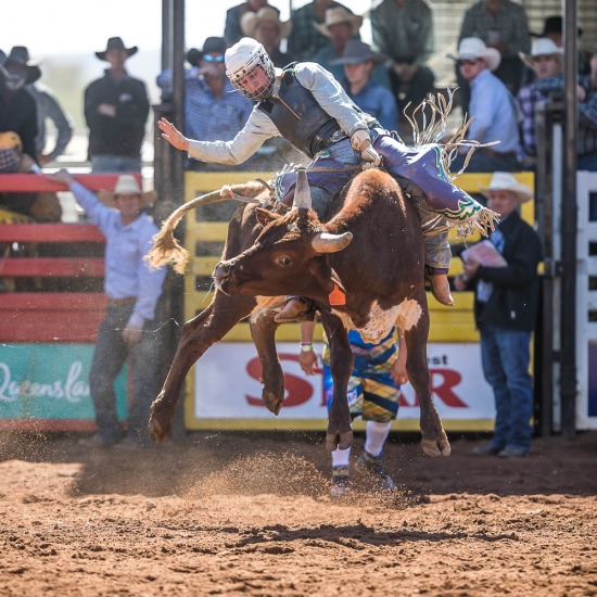 JUNIOR BULL RIDE