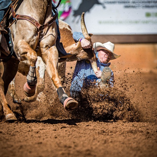 STEER WRESTLING