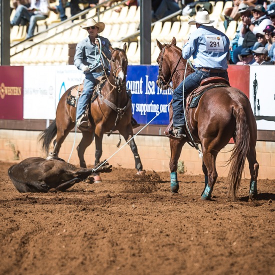 TEAM ROPING