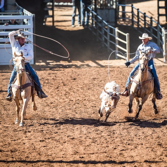 OVER 55'S TEAM ROPING