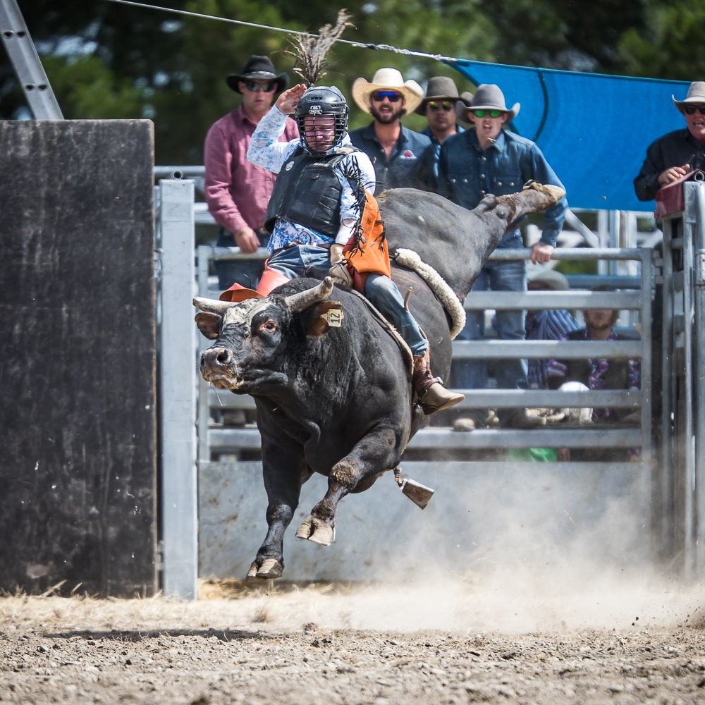 CANTERBURY RODEO 2020