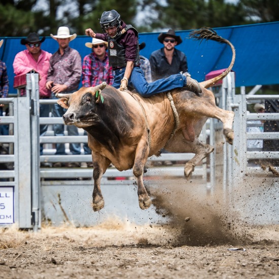 2ND DIVI BULL RIDE