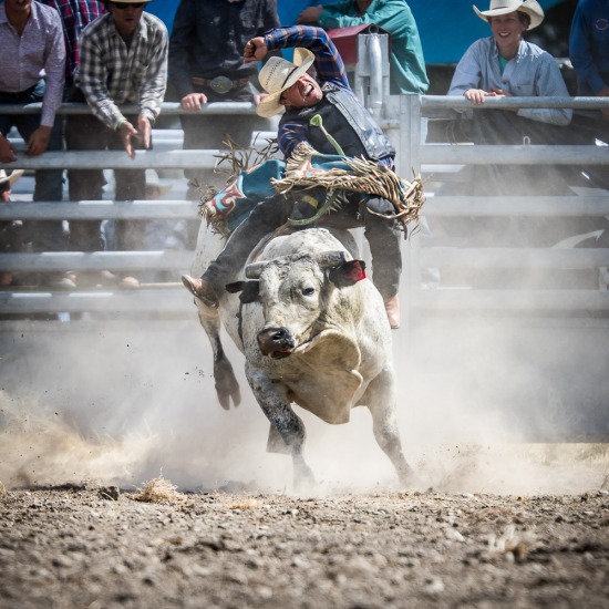 BULL RIDE