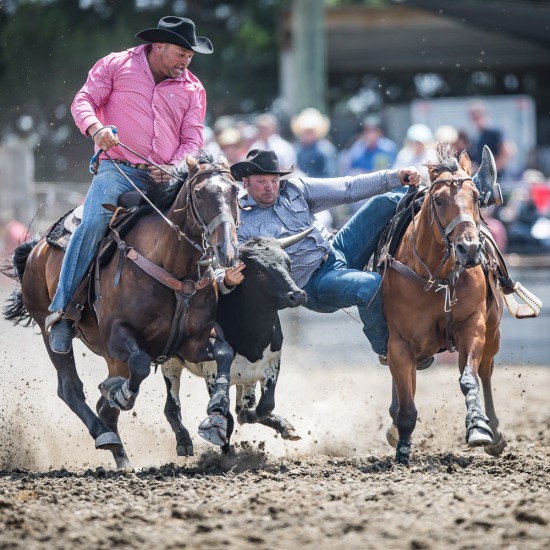 STEER WRESTLING