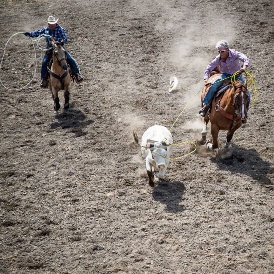 TEAM ROPING