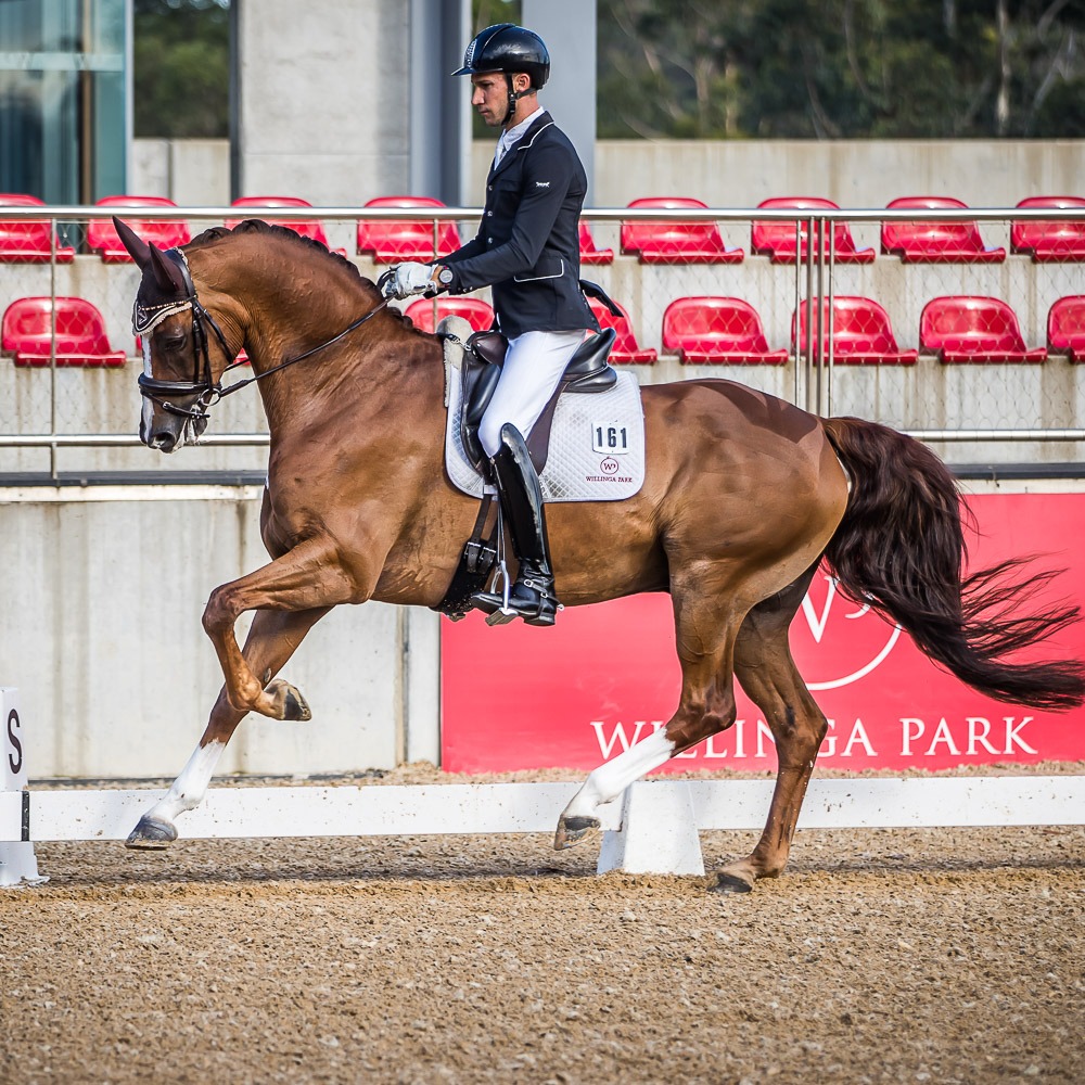DRESSAGE BY THE SEA 2020