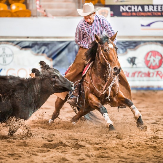 JAMIE INGLIS - NCHA 2014