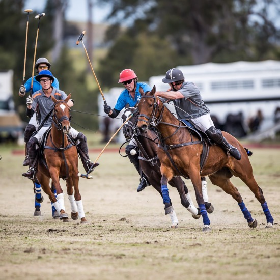 BRANCH CREEK Vs ELLERSTON