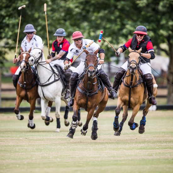 ELLERSTON Vs AZ POLO