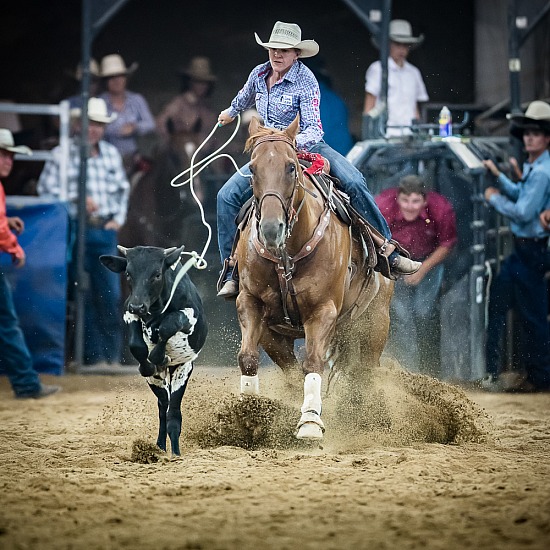 BREAKAWAY ROPING