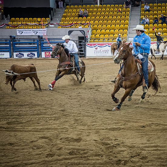 TEAM ROPING