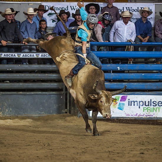 NOVICE BULL RIDE