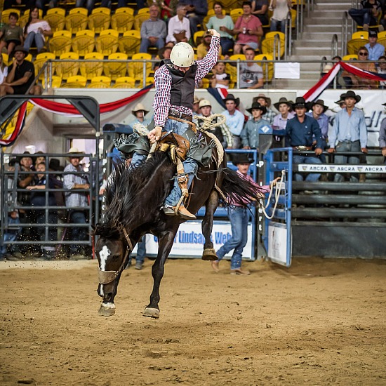 NOVICE SADDLE BRONC