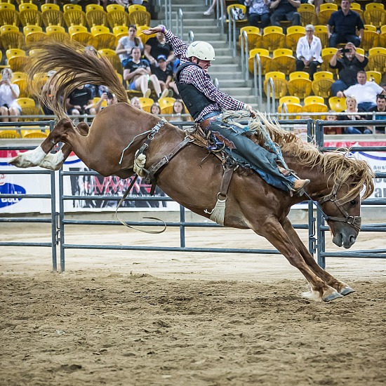 SADDLE BRONC