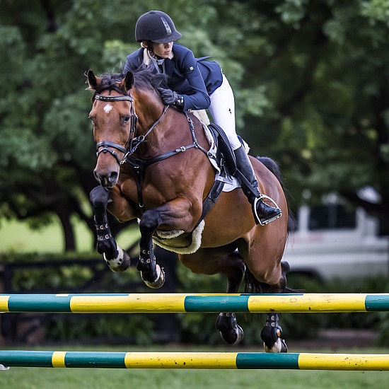 1.30M SHOW JUMPING AM7