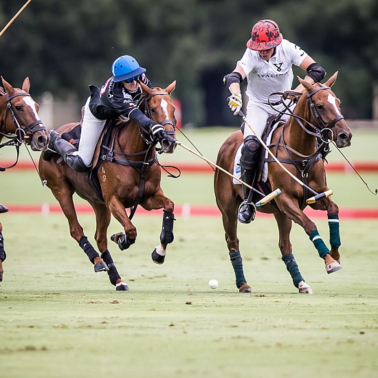 CATALINA Vs GARANGULA TROIKA