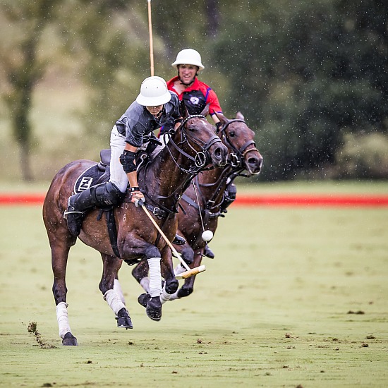 ELLERSTON GREY Vs AZ POLO - SEMI FINAL