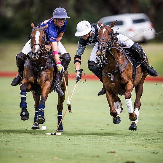 ELLERSTON OYSTERS Vs PINNACLE - SEMI FINAL