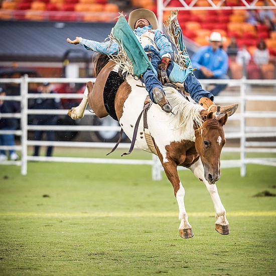 FEDERATION RODEO RD 1