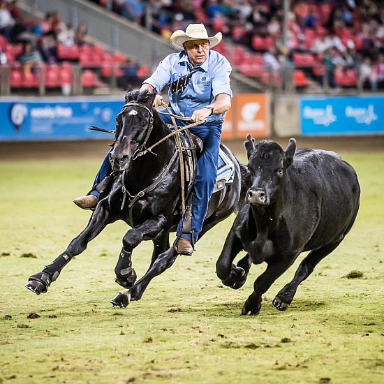 WORLD CHAMPIONSHIP CAMPDRAFT RD 1