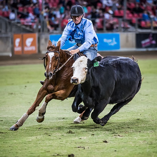 WORLD CHAMPIONSHIP CAMPDRAFT RD 2