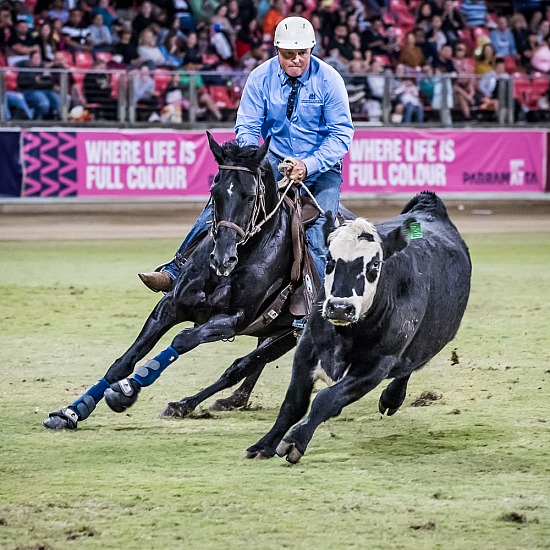 WORLD CHAMPIONSHIP CAMPDRAFT RD 4