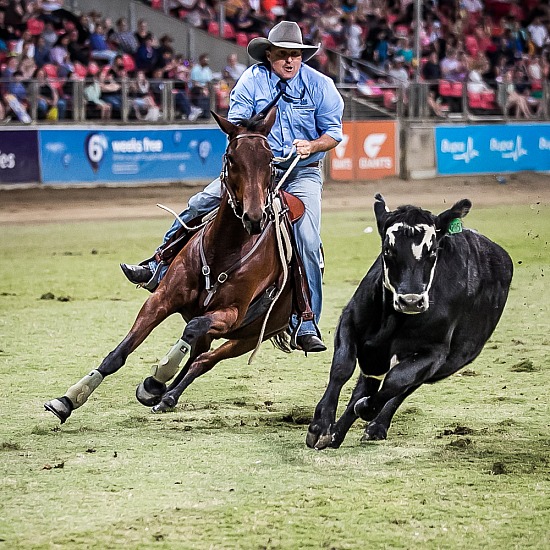WORLD CHAMPIONSHIP CAMPDRAFT RD 3