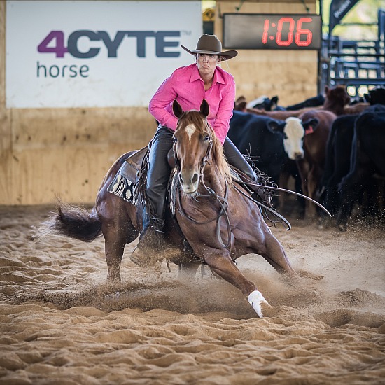 NCHA AUTUMN SPECTACULAR 2022